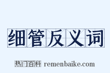 细管反义词是什么意思的图片